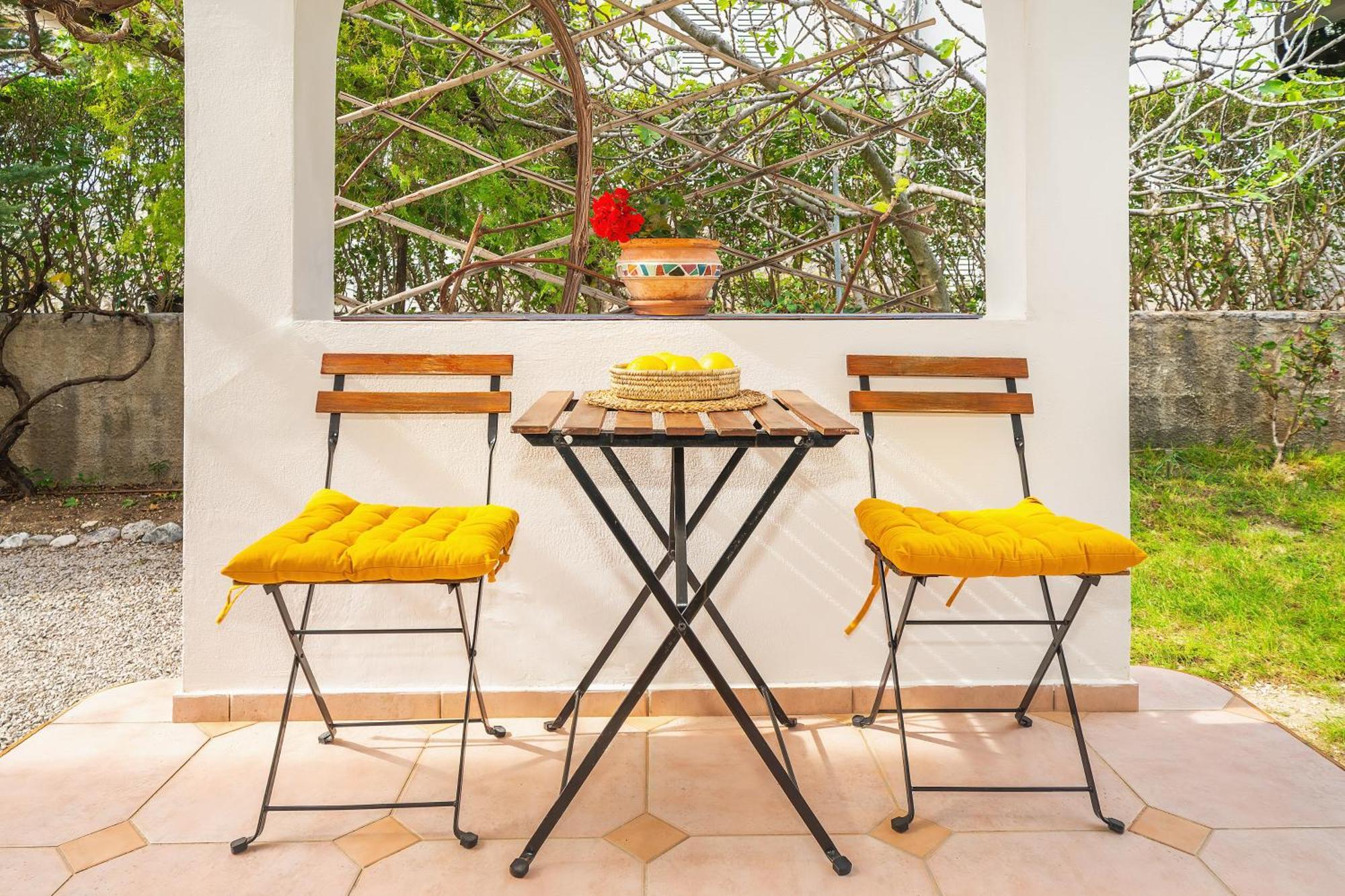 Apartment Edo With Terrace
